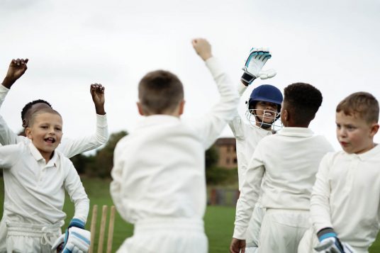 elementary cricket lesson plans