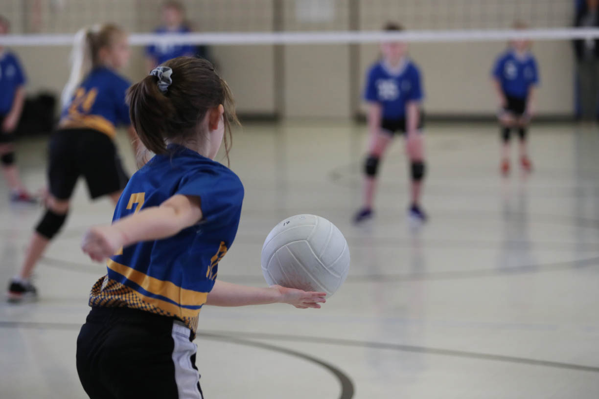 elementary pe lesson plans volleyball