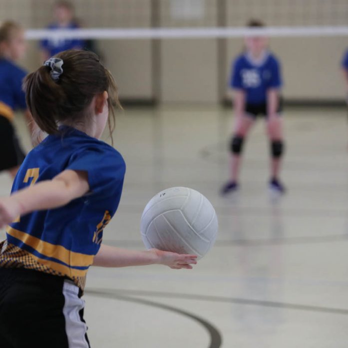 pe planning volleyball